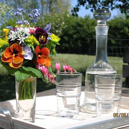 Hafflandsichten ファームステイ Dargen