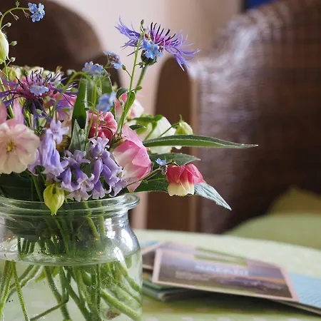 Hafflandsichten Farm stay *