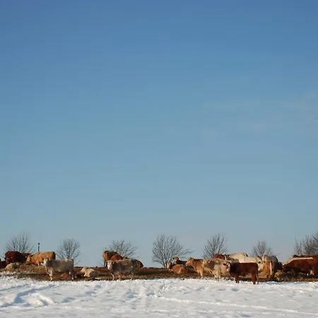 Hafflandsichten * Dargen