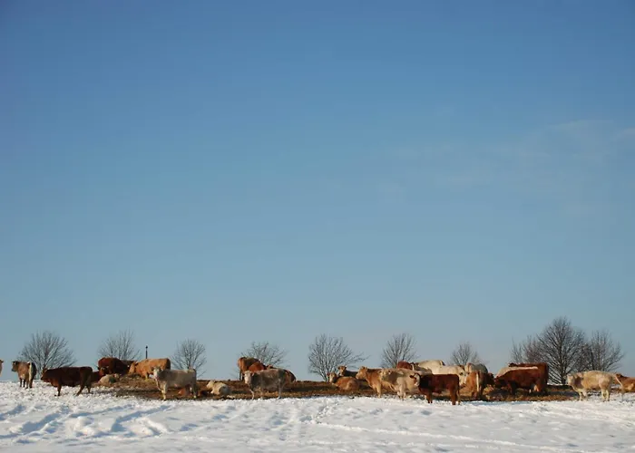 Hafflandsichten * Dargen